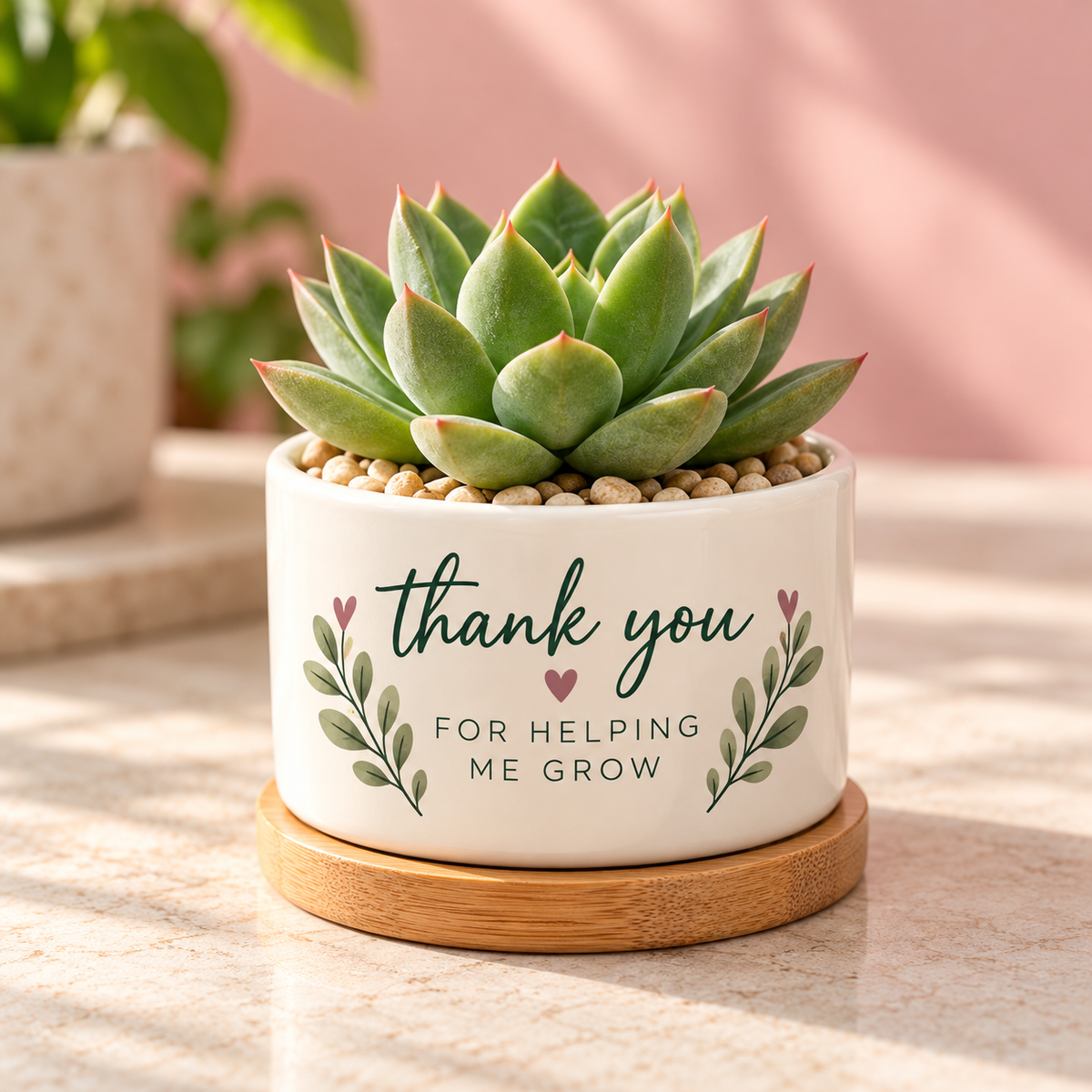 Custom succulent planter showcasing personalized wording and decorative artwork on a small ceramic pot.
