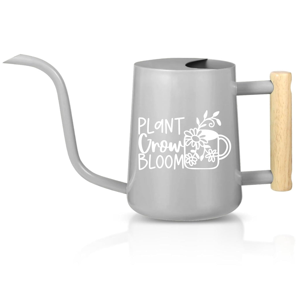 Minimalist Garden Essential Stainless Steel Watering Can Indoor Plant Care Tool Modern Design Premium Construction Metal Body Wooden Handle Accent Gooseneck Spout Feature Precise Control Beautiful Style Multiple Colors Available Gift