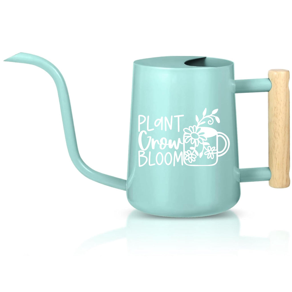 Premium Garden Tool Stainless Steel Watering Can Modern Design Indoor Plant Care Essential Precise Control Spout Wooden Handle Feature Metal Body Construction Beautiful Style Multiple Colors Available Practical Gift Idea Plant Accessory