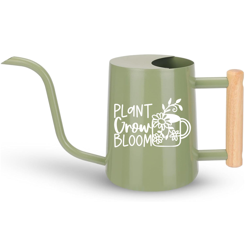 Indoor Plant Care Watering Can Stainless Steel Construction Modern Style Garden Tool Premium Quality Metal Body Wooden Handle Design Gooseneck Spout Precise Control Beautiful Minimalist Aesthetic Multiple Color Options Plant Essential