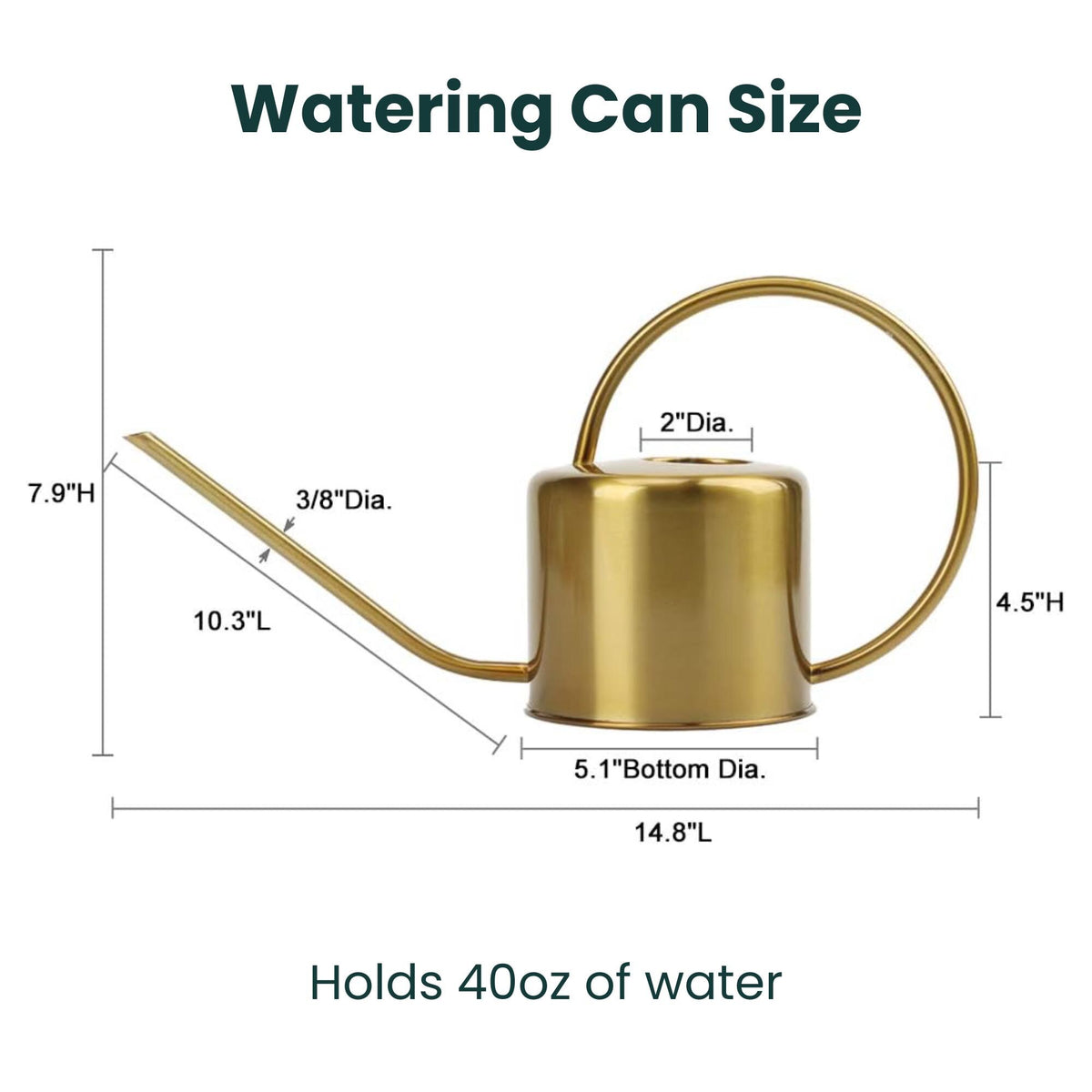 A gold-colored watering can with a curved spout and handle. The can is 14.8 inches long, 7.9 inches high, and holds 40 ounces of water. The text "Watering Can Size" is at the top.