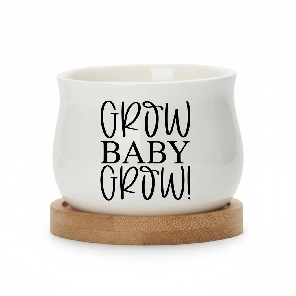 Personalized Baby Shower Succulent Pot | Growing Baby Design