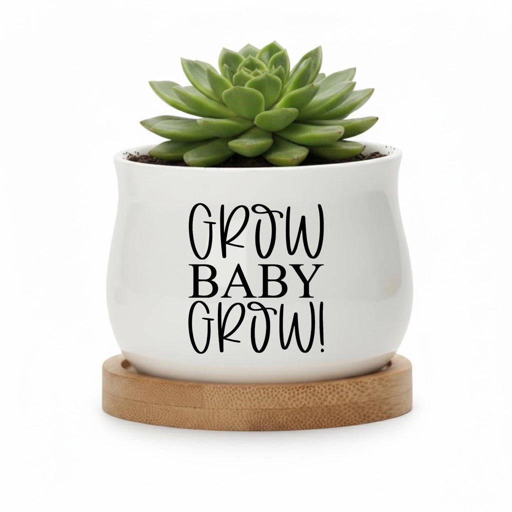 Personalized Baby Shower Succulent Pot | Growing Baby Design