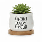 Personalized Baby Shower Succulent Pot | Growing Baby Design