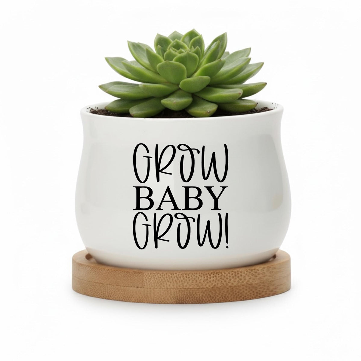 Personalized Baby Shower Succulent Pot | Growing Baby Design