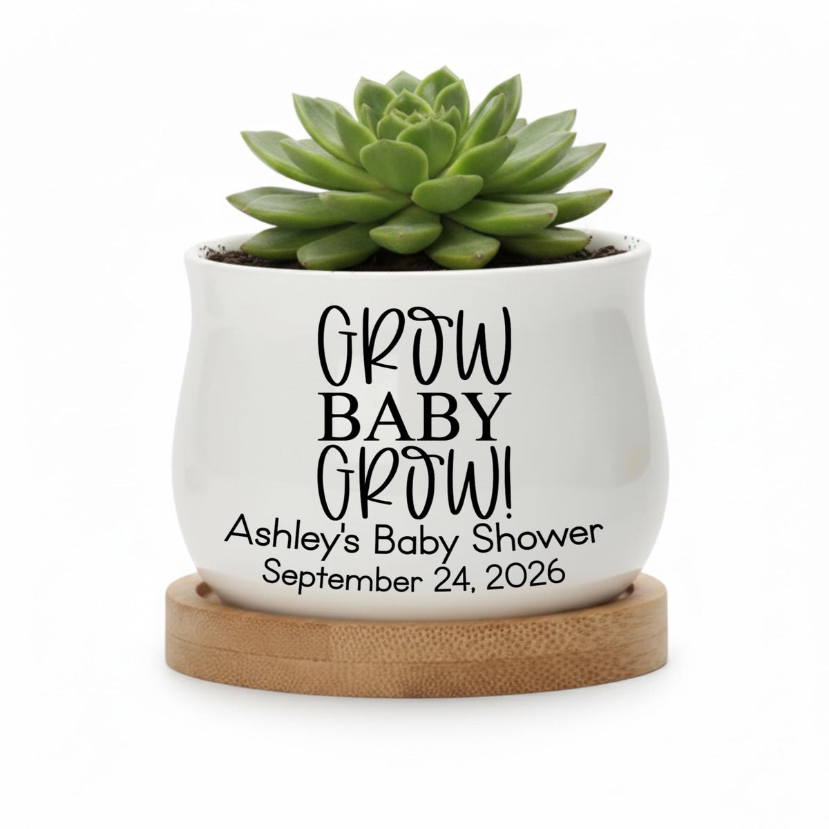 Personalized Baby Shower Succulent Pot | Growing Baby Design