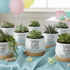 White ceramic pots with succulents, each on a wooden coaster. The pots have the text "GROW BABY GROW!" and "Ashley's Baby Shower September 24, 2026". A baby shower theme with balloons and a pacifier.