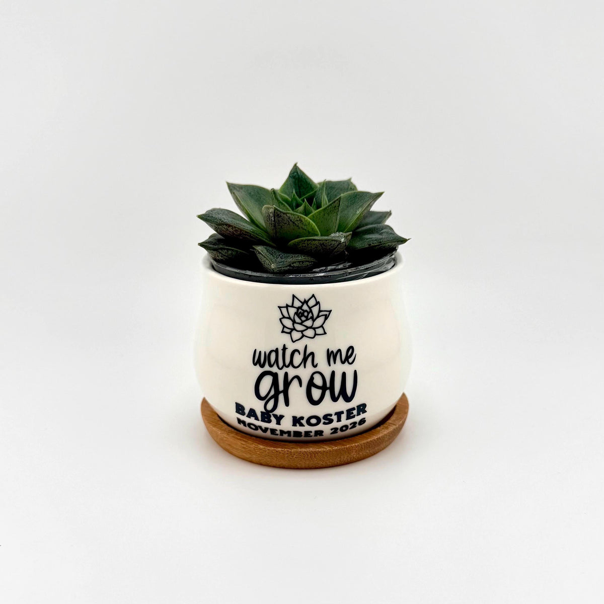 Personalized Ceramic Pot Baby Shower Favor Custom Name Planter Watch Me Grow Mini Plant Container Bamboo Tray Set White Glazed Finish Nursery Decoration Meaningful Keepsake Gift Unique Favor Idea Special Memory Token Plant Lover Gift