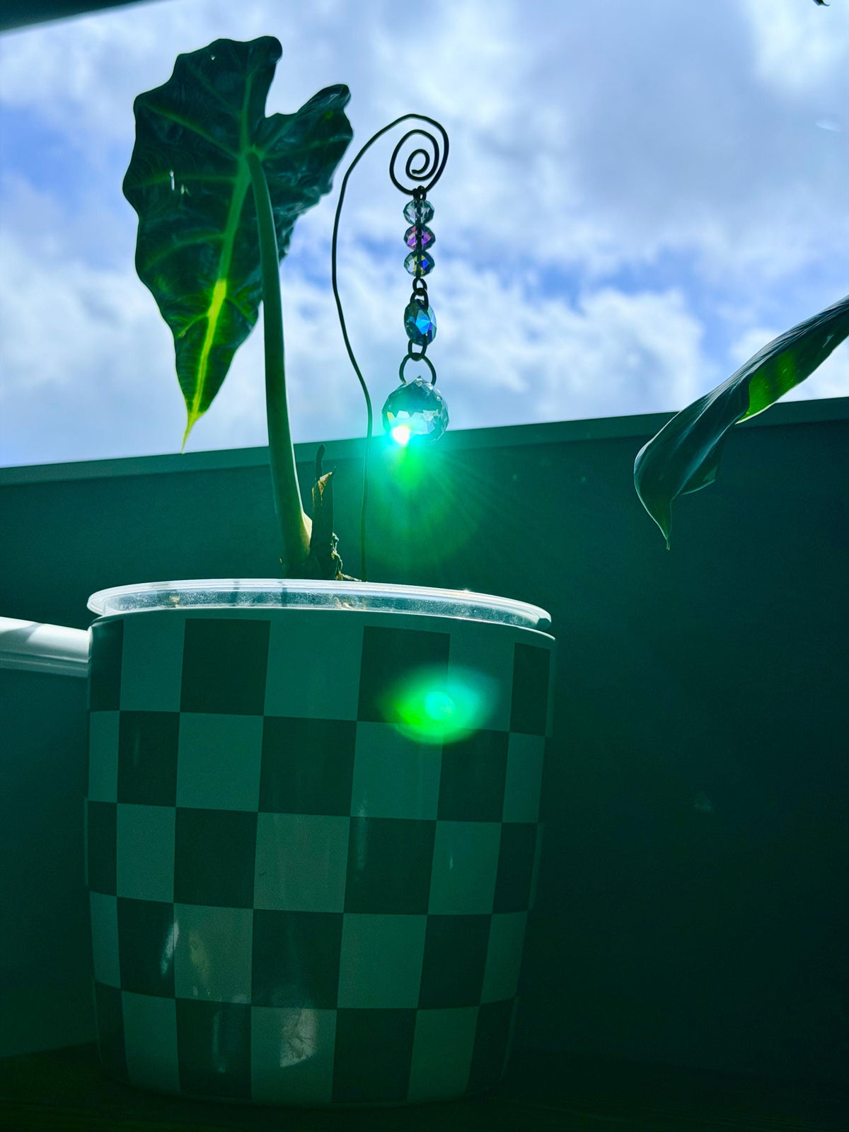Plant Suncatcher with Crystal Prism and Glass Beads