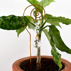Plant Suncatcher with Crystal Prism and Glass Beads