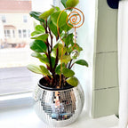 Plant Suncatcher with Crystal Prism and Glass Beads