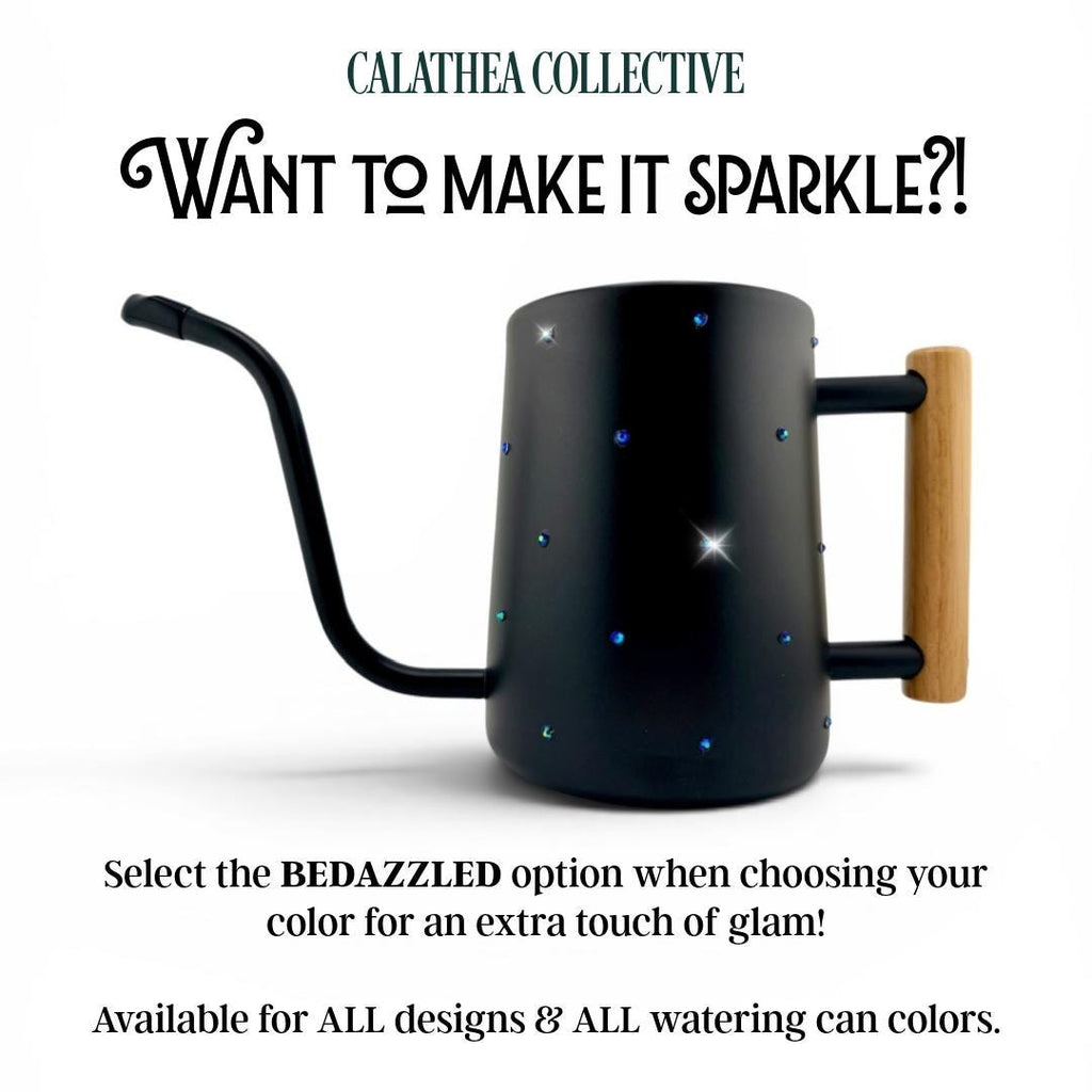 Personalized Watering Can: Stainless Steel with Wood Handle, Custom Name Design