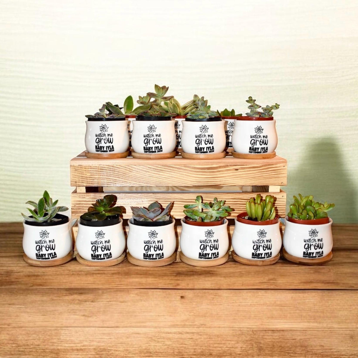 Personalized Mini Succulent Pot Baby Shower Favor | Custom Ceramic Pot with Bamboo Tray