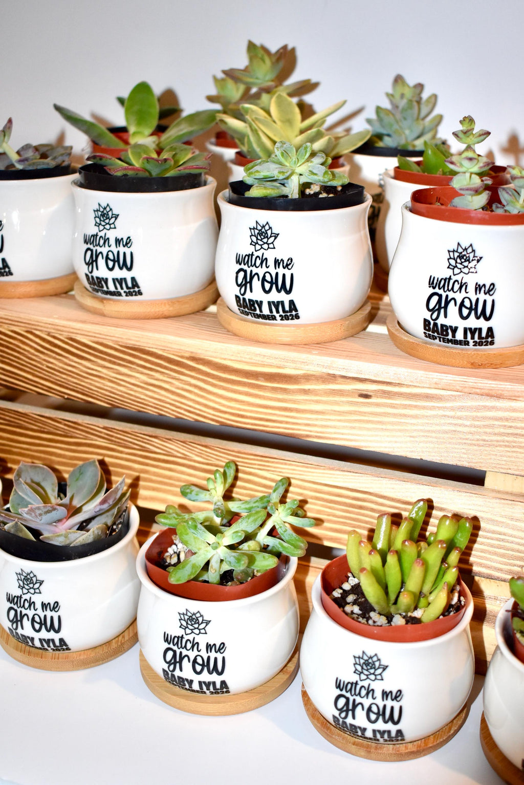 Personalized Mini Succulent Pot Baby Shower Favor | Custom Ceramic Pot with Bamboo Tray