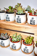 Personalized Mini Succulent Pot Baby Shower Favor | Custom Ceramic Pot with Bamboo Tray