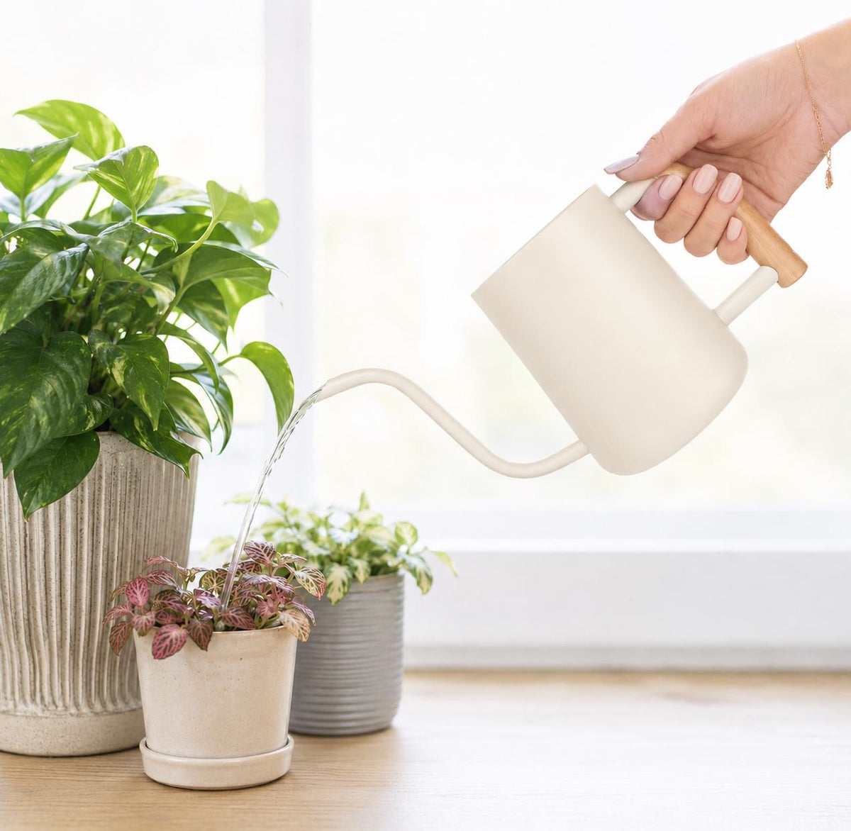 Personalized Watering Can with House Plants and Customizable Name or Word Design