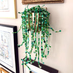 Handmade Beaded Trailing Plant Wall Decor | Frosted Glass, Pearls, Crystals (Damage-Free Hanging)